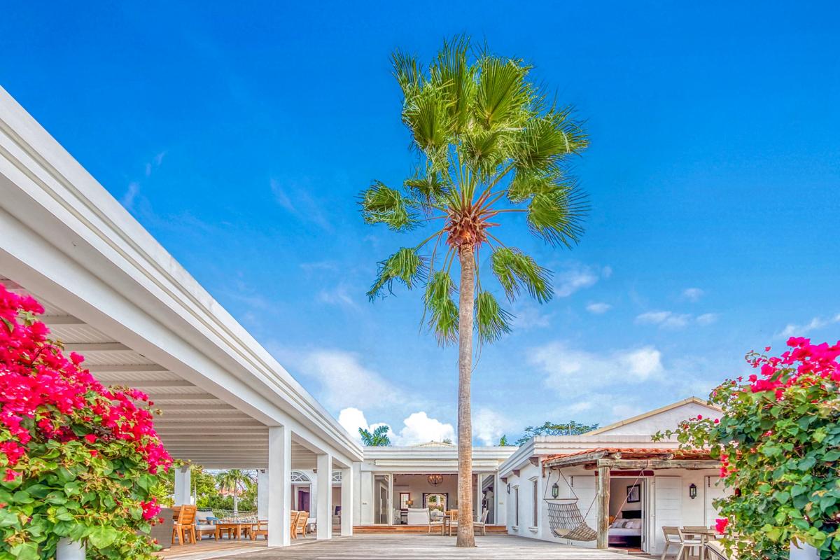 Luxury villa rentals St Martin - Palm tree